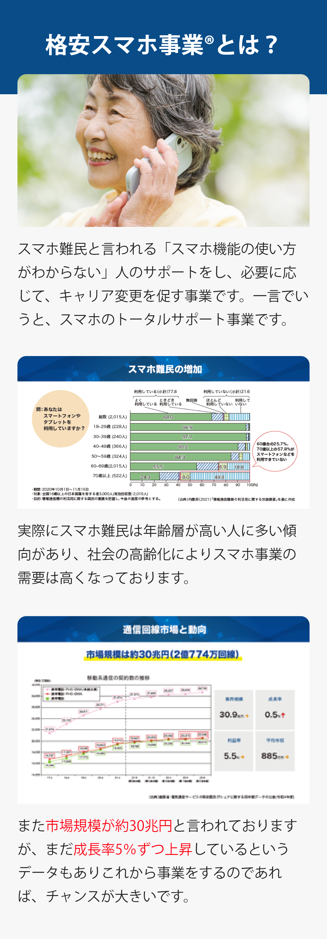 格安スマホ事業®とは？